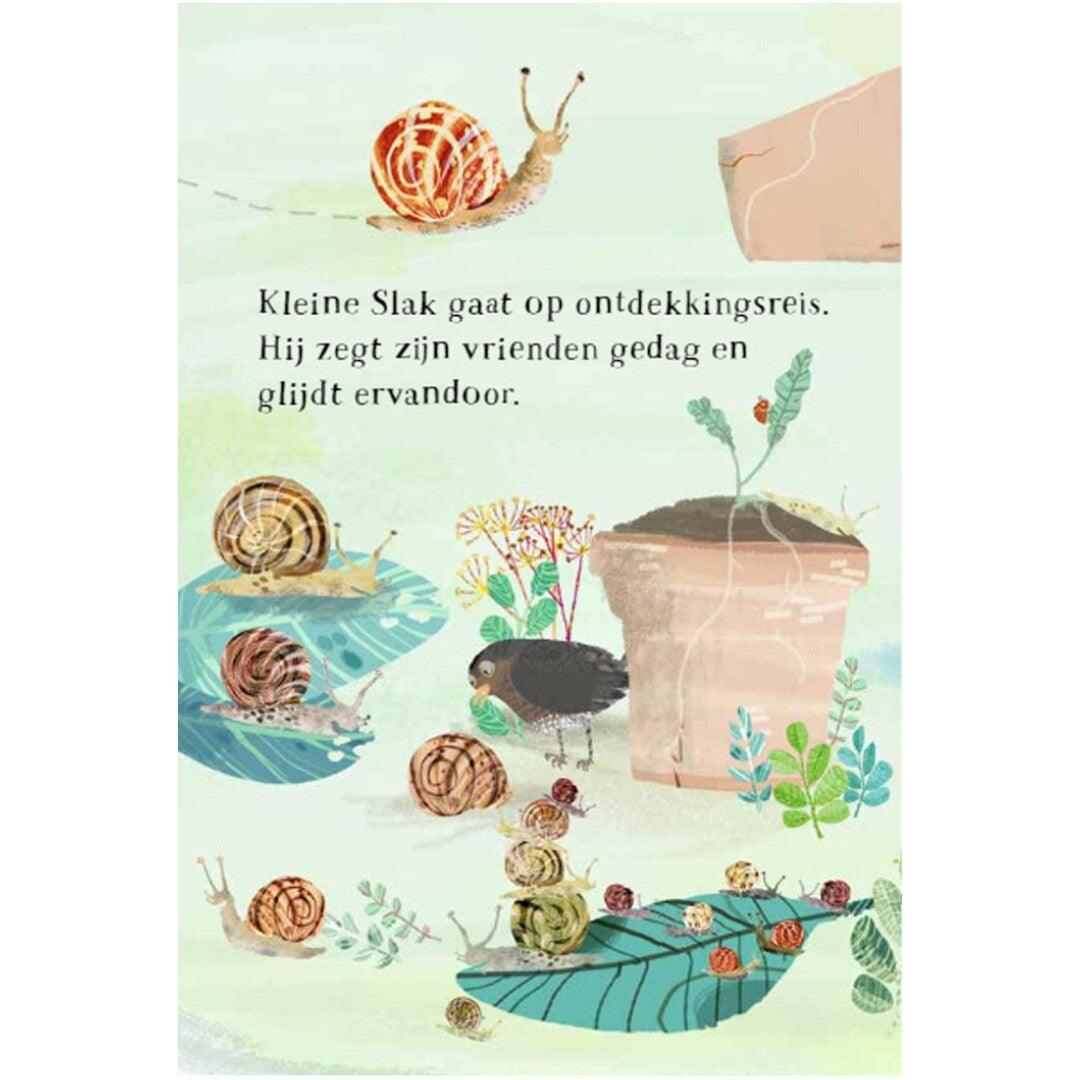 uitgeverij lemniscaat kartonboek het beestjesboek van kleine slak | 1631607 | 1
