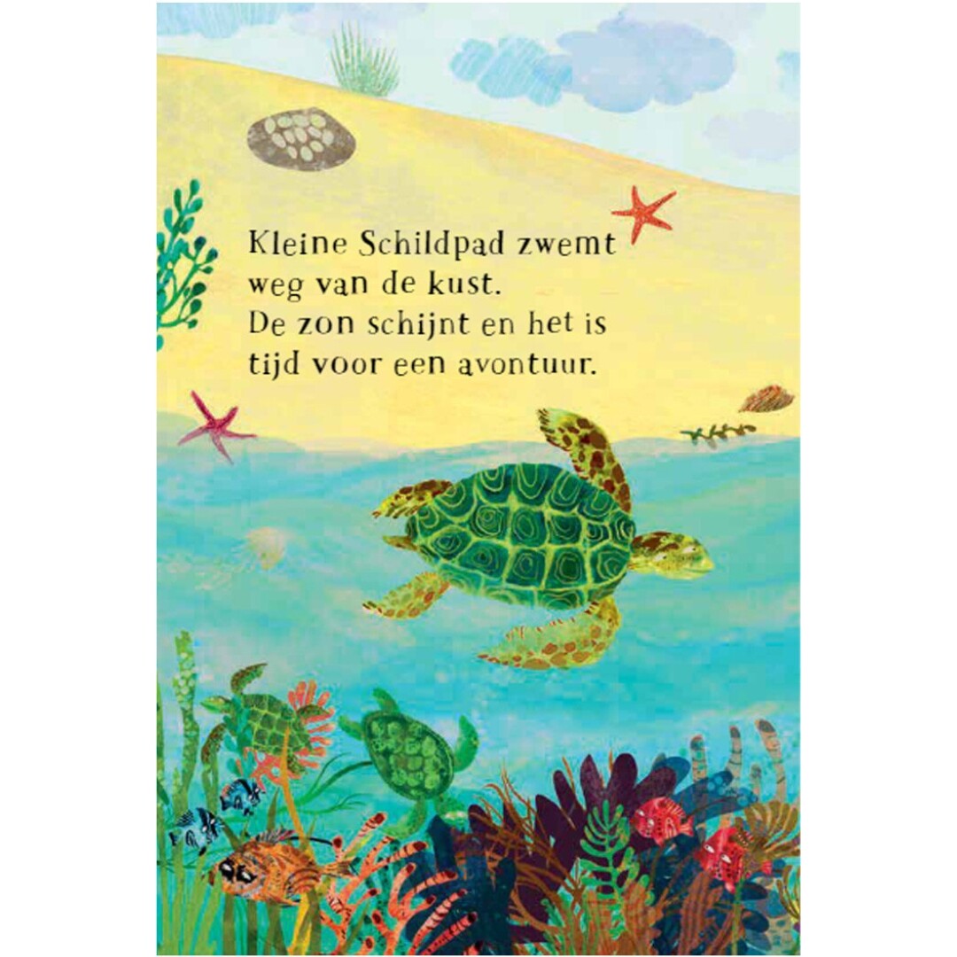 uitgeverij lemniscaat kartonboek het zeeboek van kleine schildpad | 1631608 | 1