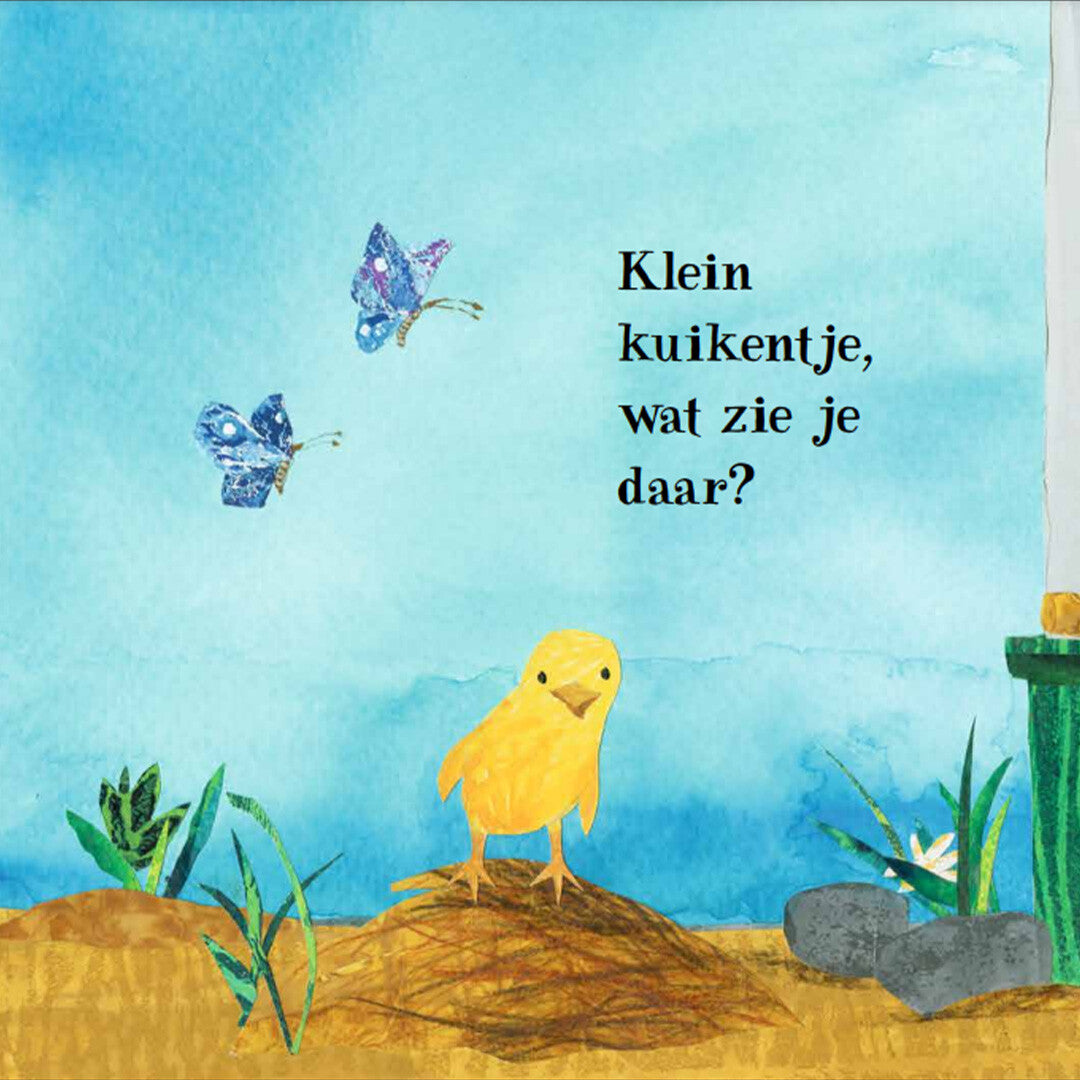 uitgeverij lemniscaat kartonboek klein kuikentje | 1631613 | 1