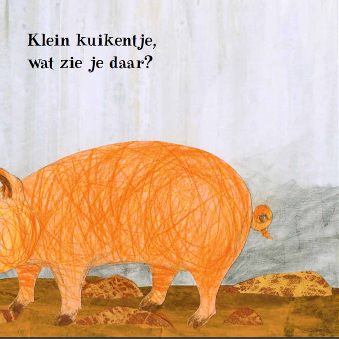 uitgeverij lemniscaat kartonboek klein kuikentje | 1631613 | 4