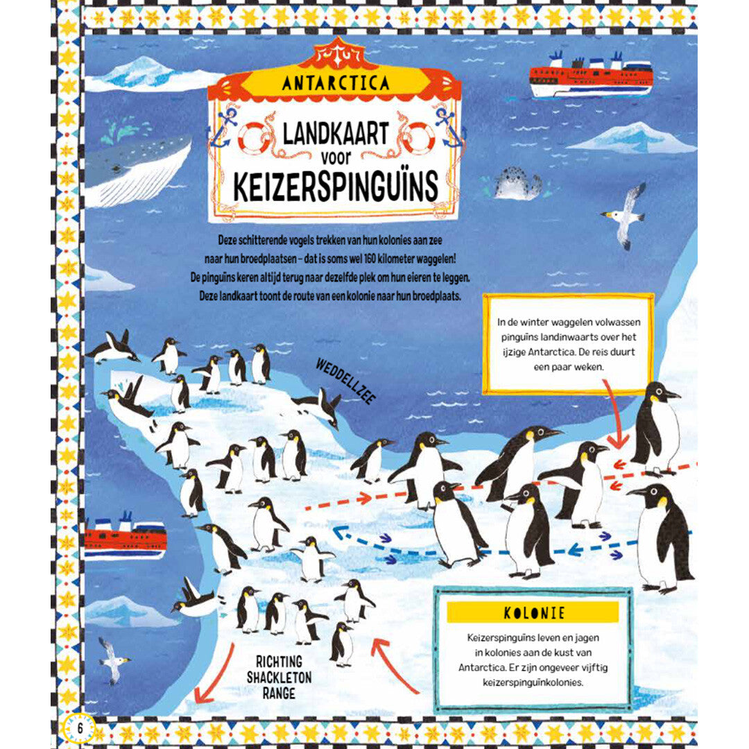 uitgeverij lemniscaat landkaarten voor pinguïns | 1631568 | 1