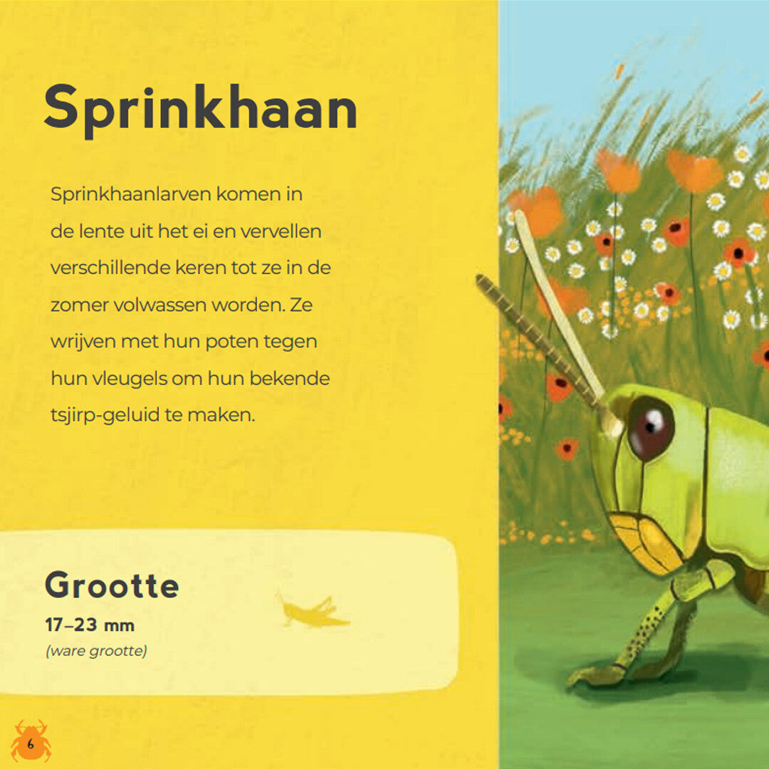 uitgeverij lemniscaat mijn eerste kriebelbeestjesboek | 1631432 | 3