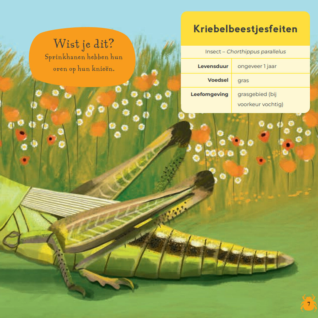 uitgeverij lemniscaat mijn eerste kriebelbeestjesboek | 1631432 | 4