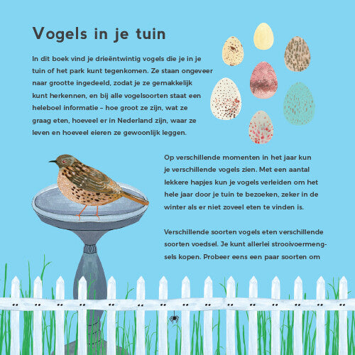 uitgeverij lemniscaat mijn eerste vogelboek  | 1631172 | 2