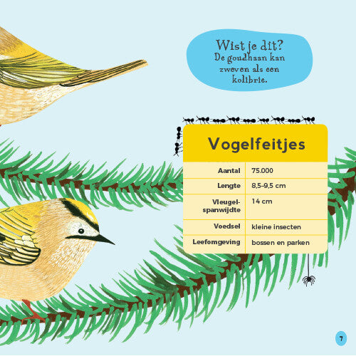 uitgeverij lemniscaat mijn eerste vogelboek  | 1631172 | 5
