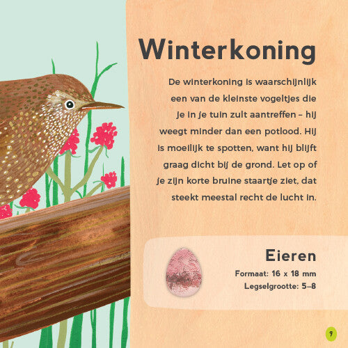uitgeverij lemniscaat mijn eerste vogelboek  | 1631172 | 7