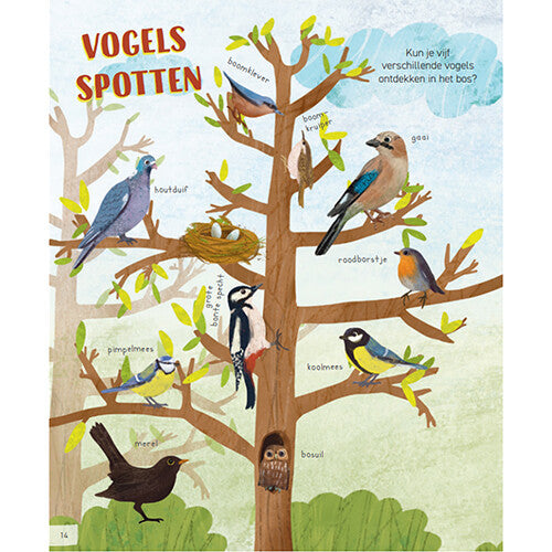 uitgeverij lemniscaat zoekboek wildzoekers in het bos | 1631457 | 3