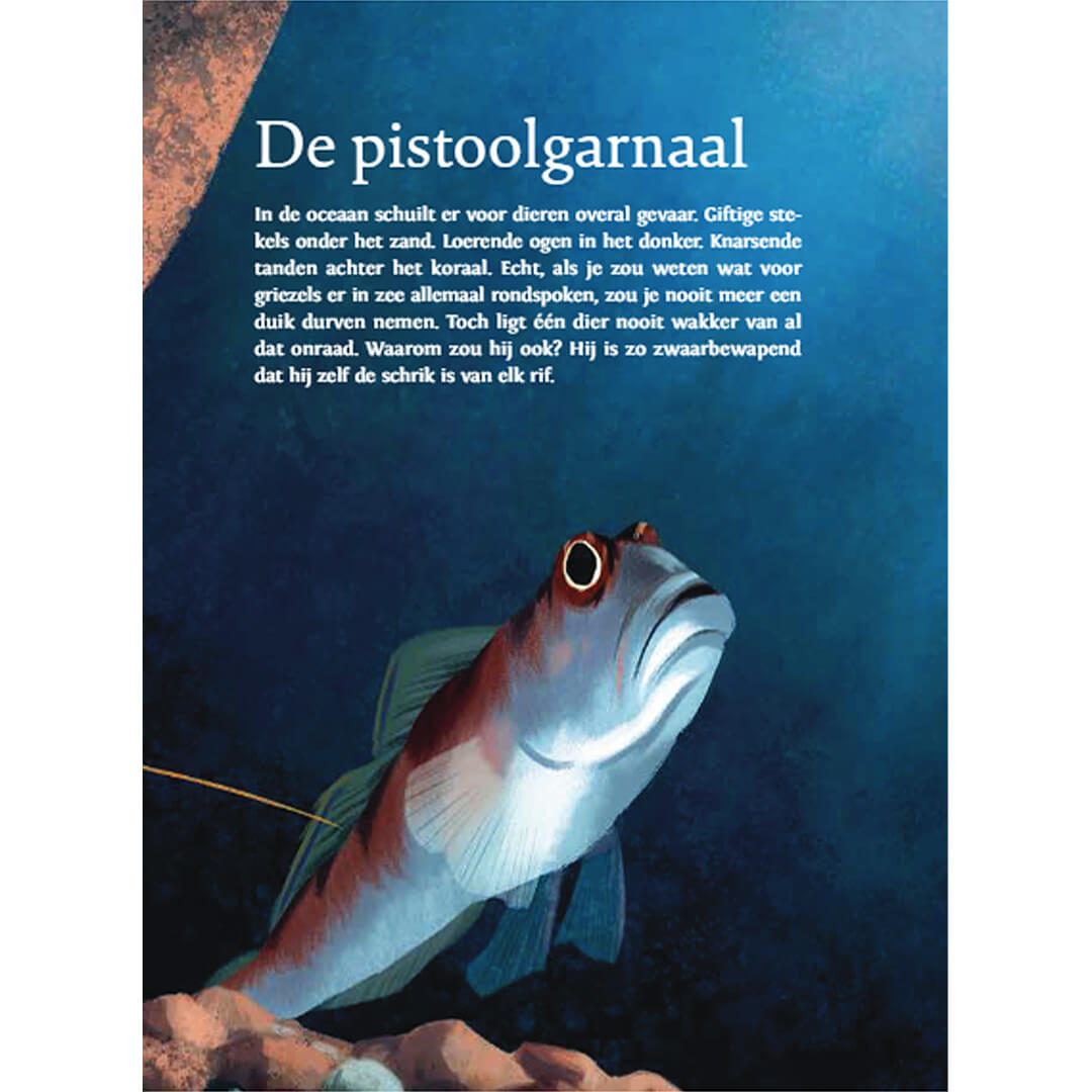 uitgeverij querido een slijmzoen voor je oma | 1542816 | 2