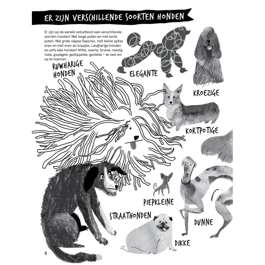 uitgeverij querido je hond en jij | 4