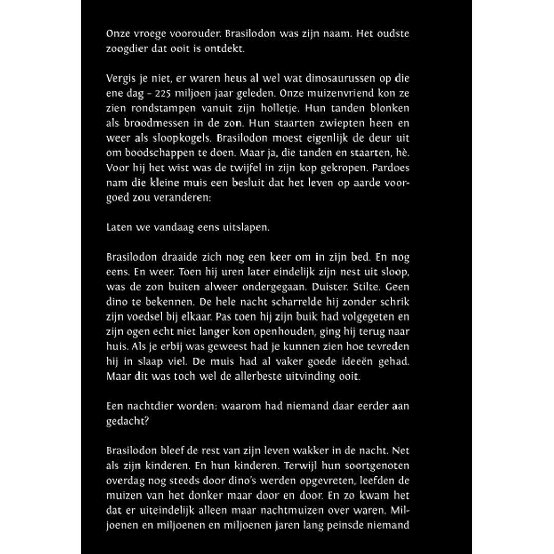uitgeverij querido verhalenboek wij zijn de nacht | 4