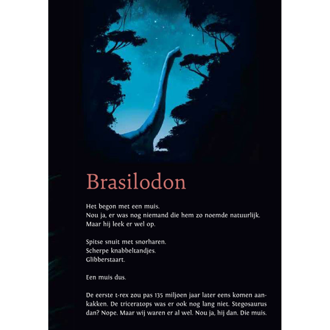 uitgeverij querido verhalenboek wij zijn de nacht | 3