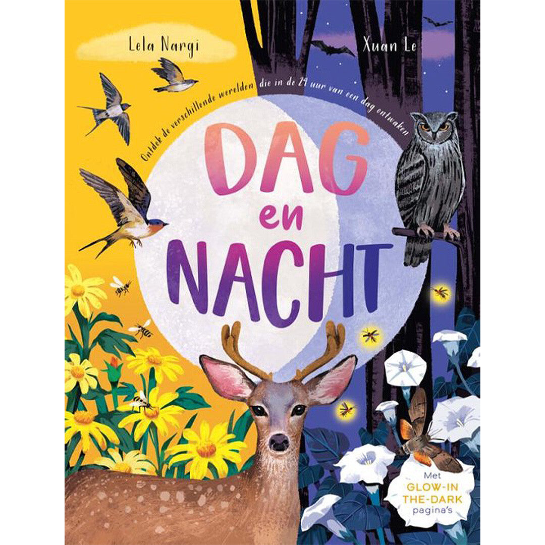 uitgeverij rebo dag en nacht - glow-in-the-dark | 1724643 | 0