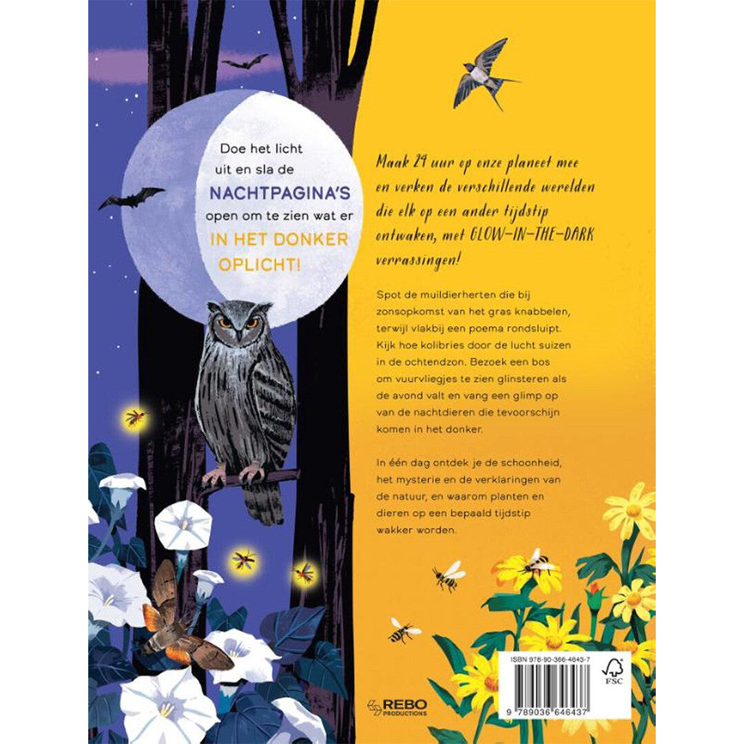 uitgeverij rebo dag en nacht - glow-in-the-dark | 1724643 | 1