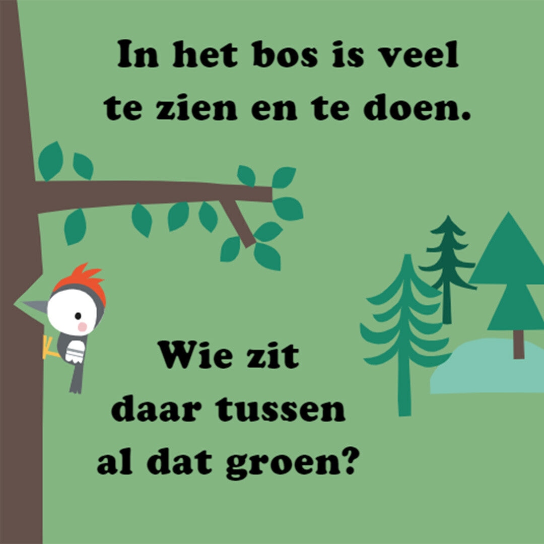 uitgeverij rebo flapjesboek zoek en vind - bos | 1724708 | 1