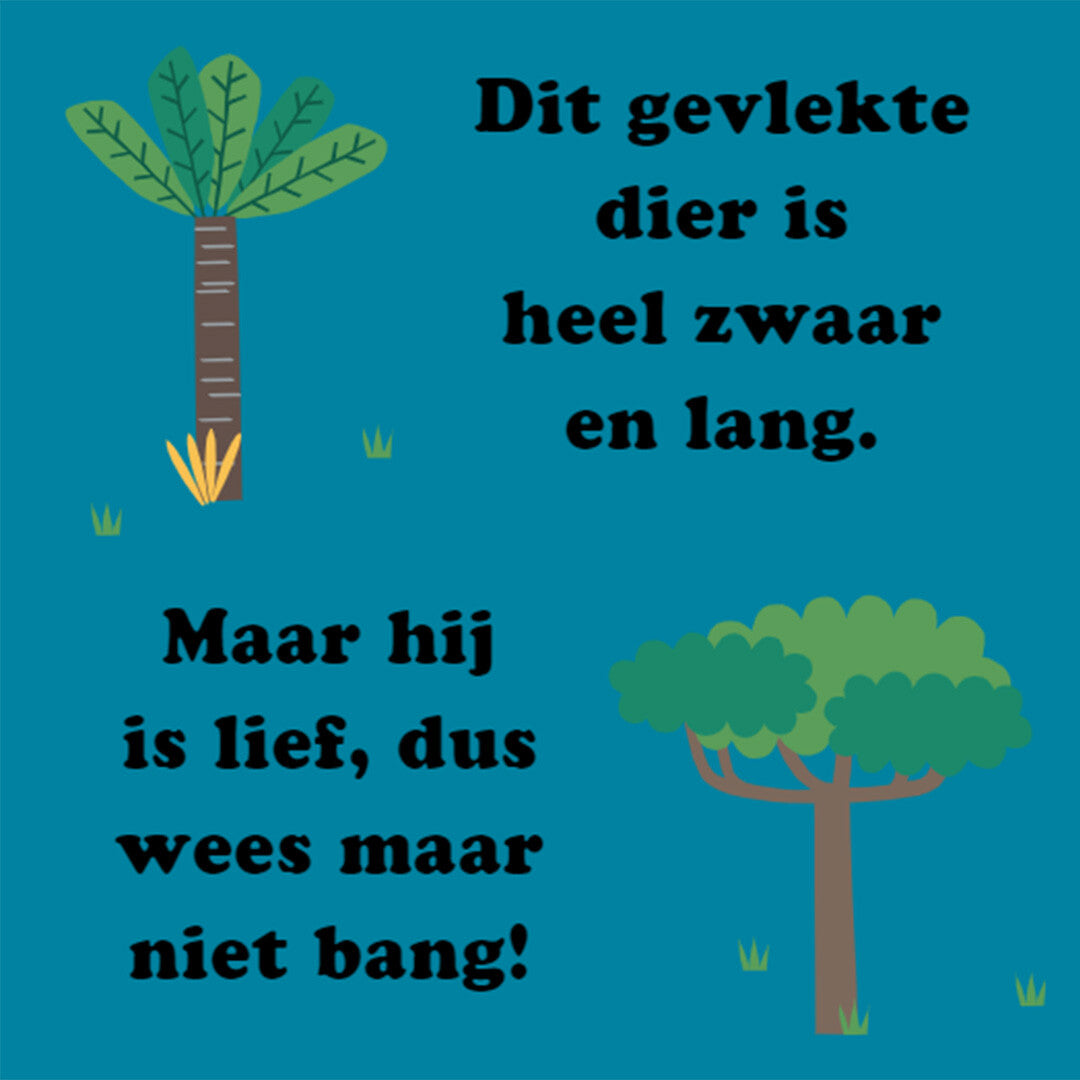 uitgeverij rebo flapjesboek zoek en vind - jungle | 1724707 | 1