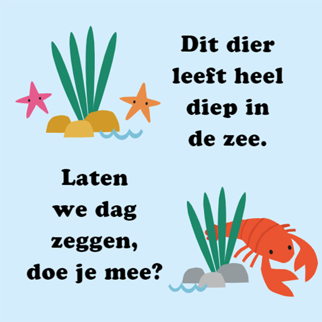 uitgeverij rebo flapjesboek zoek en vind - oceaan | 1724706 | 1