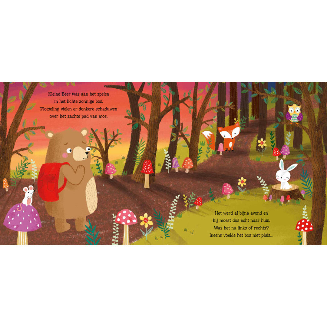 uitgeverij rebo lichtjes in het bos | 1724731 | 1