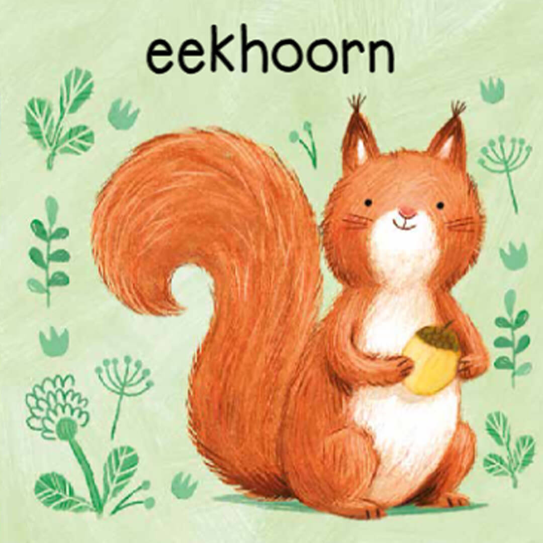 uitgeverij rebo mijn eerste dieren | 1724743 | 2