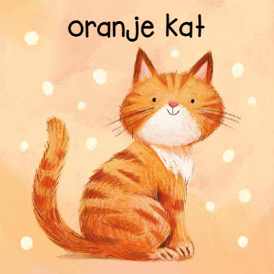 uitgeverij rebo mijn eerste kleuren | 1724741 | 3