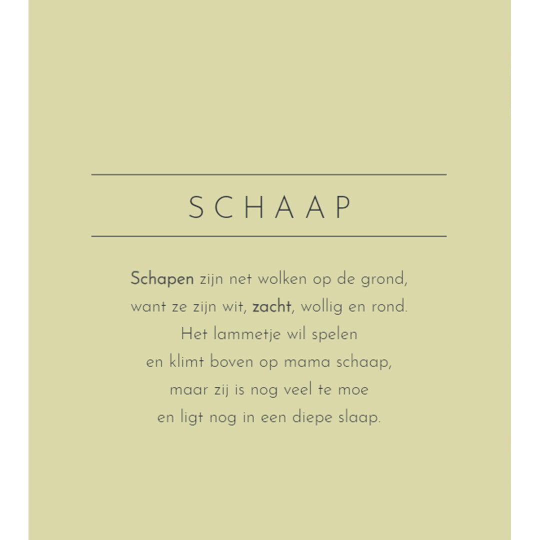 uitgeverij rebo mijn eerste voelboek - dieren | 1724594 | 1