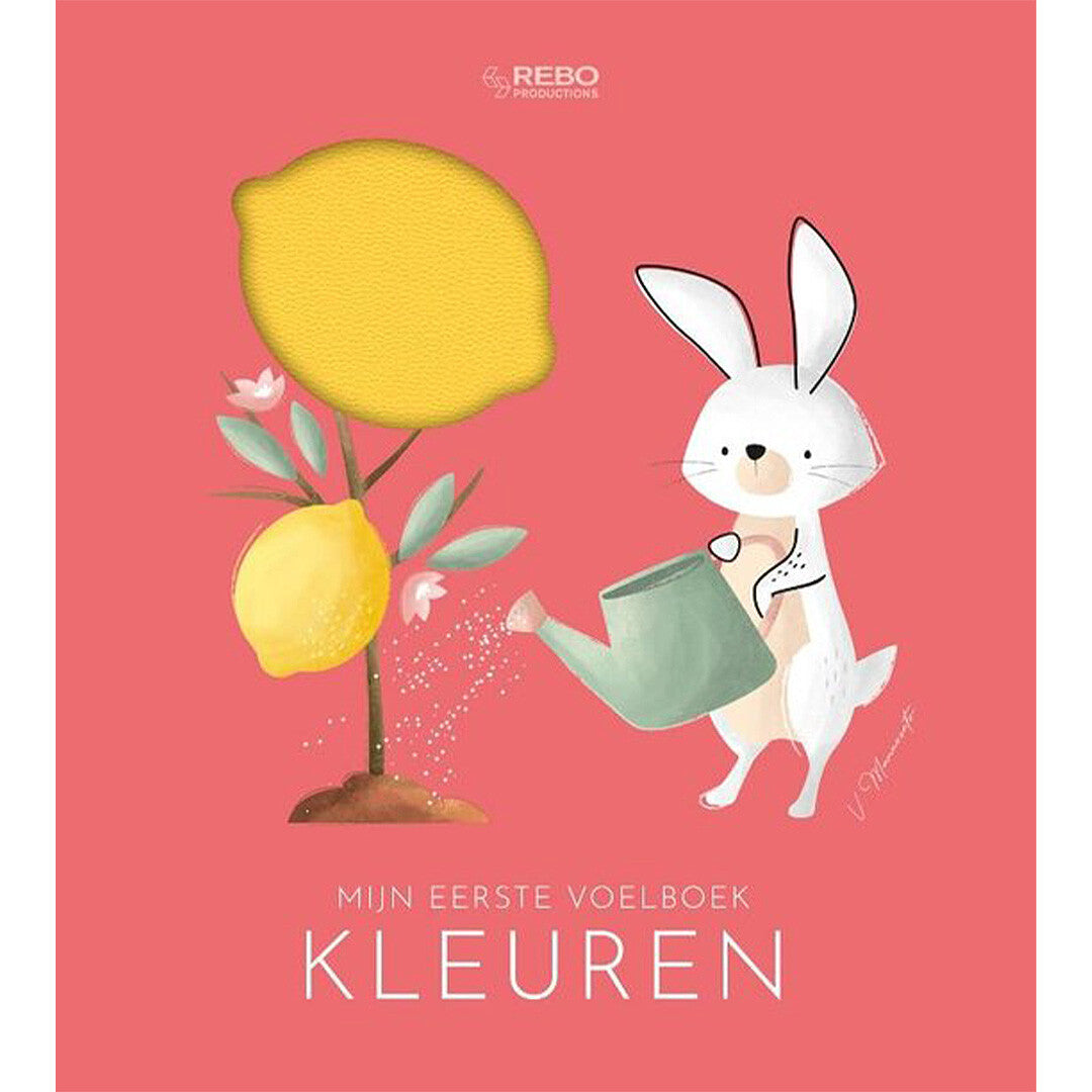 uitgeverij rebo mijn eerste voelboek - kleuren | 1724591 | 0