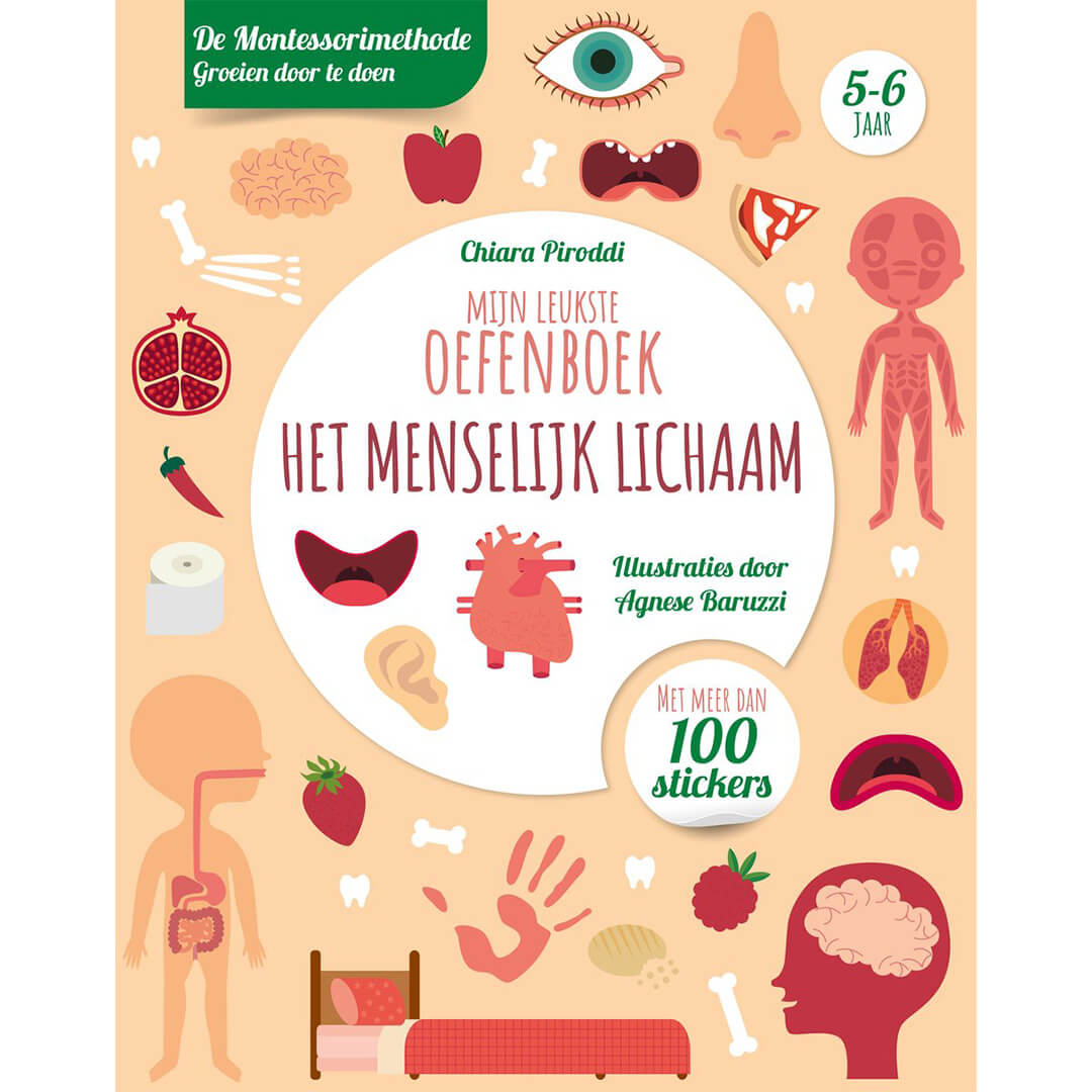 uitgeverij rebo mijn leukste oefenboek - het menselijk lichaam | 1724692 | 0
