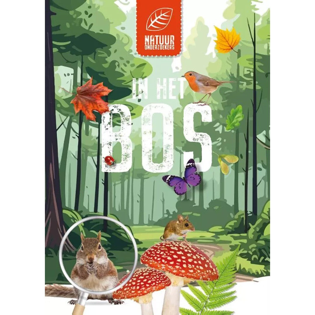uitgeverij rebo natuuronderzoekers - in het bos | 1724340 | 0