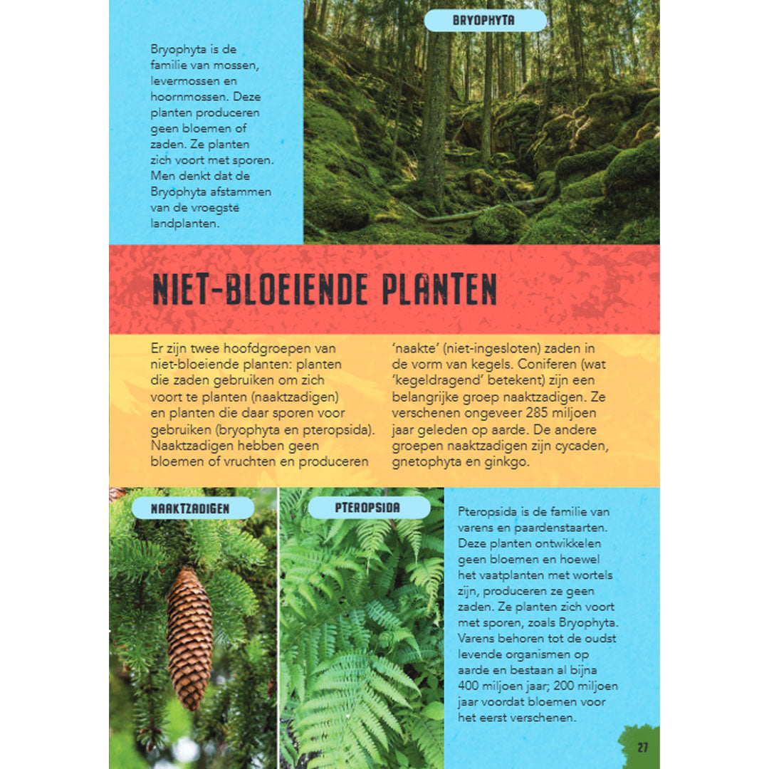 uitgeverij rebo natuuronderzoekers - in het bos | 1724340 | 4