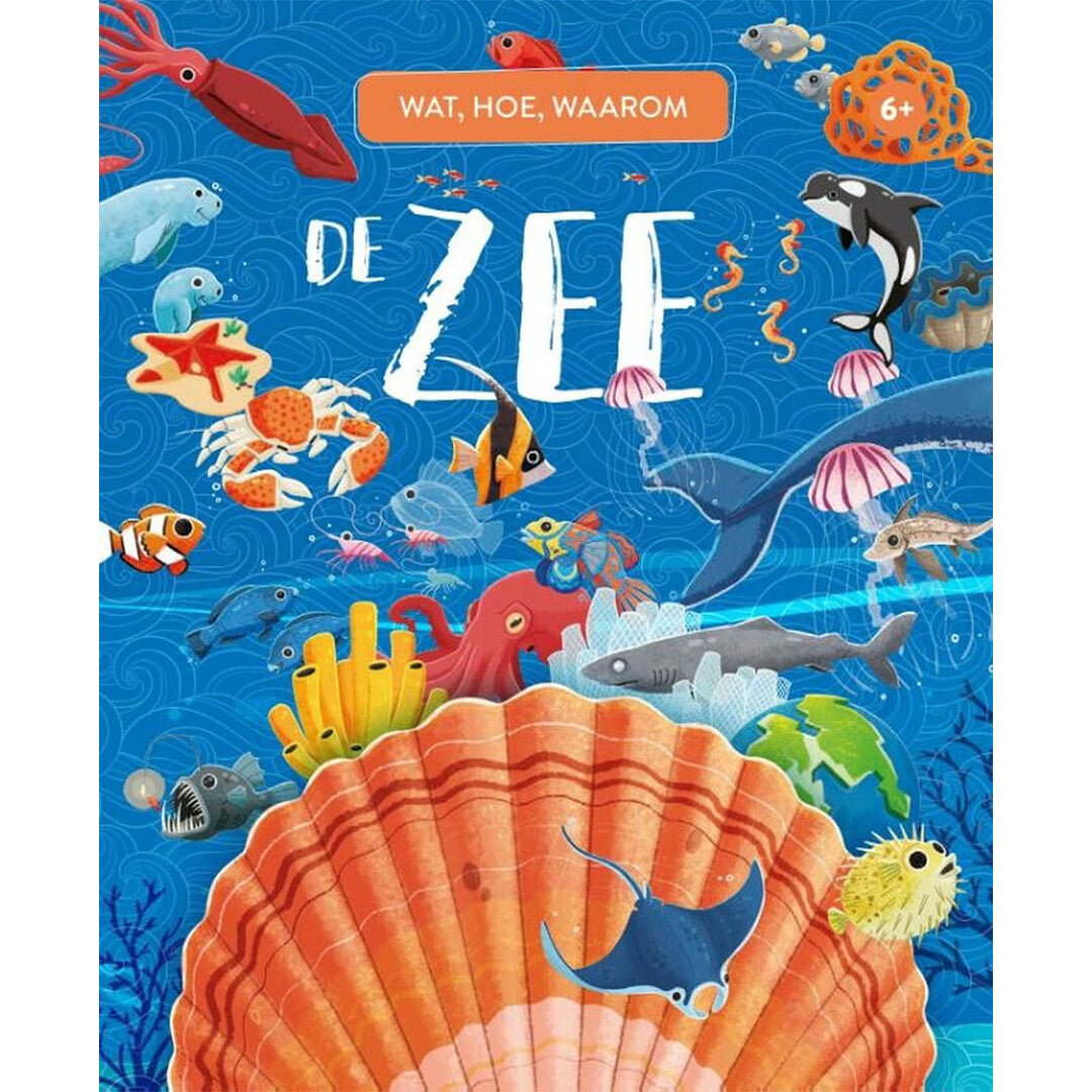 uitgeverij rebo wat, hoe, waarom de zee | 1724485 | 0