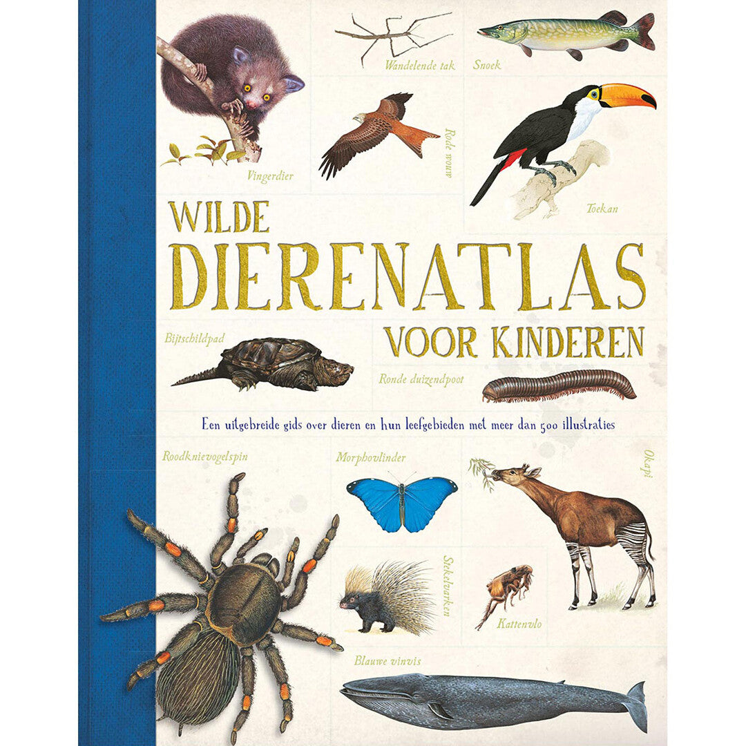 uitgeverij rebo wilde dierenatlas voor kinderen | 1723710 | 0