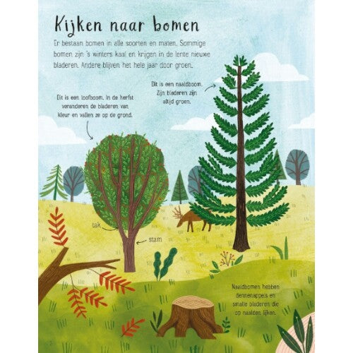 uitgeverij usborne eerste stickerboek bomen | 1700215 | 1