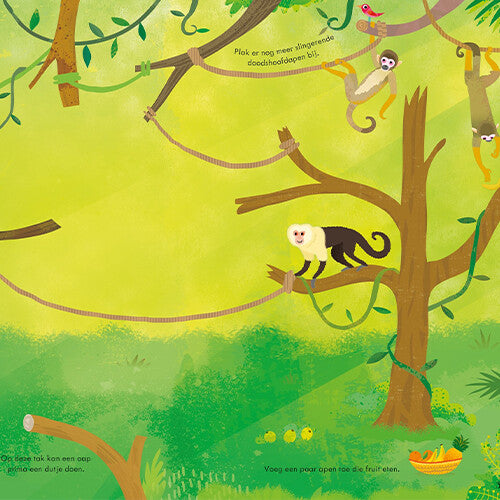 uitgeverij usborne eerste stickerboekje dierentuin | 17093890 | 1