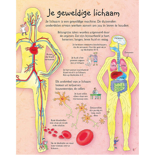 uitgeverij usborne flapjesboek kijk rond in je lichaam | 1706043 | 2