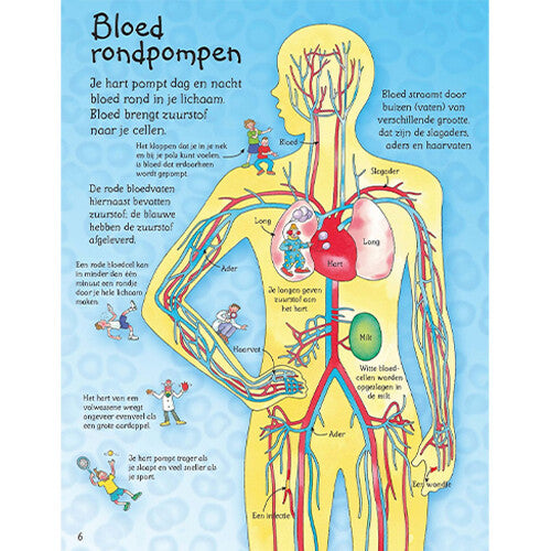 uitgeverij usborne flapjesboek kijk rond in je lichaam | 1706043 | 3