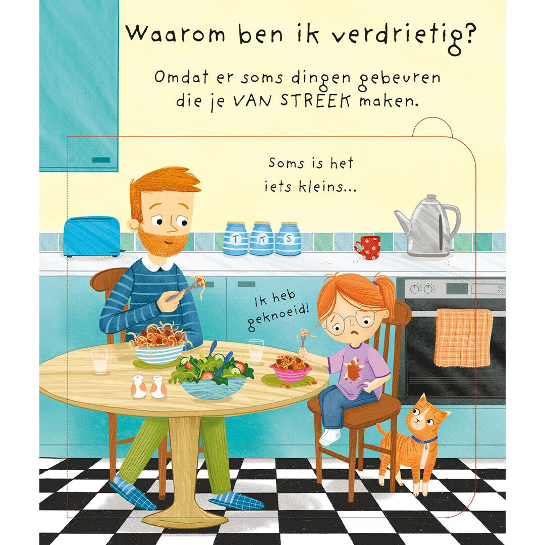 uitgeverij usborne flapjesboek waarom ben ik (soms) verdrietig? | 1701025 | 1