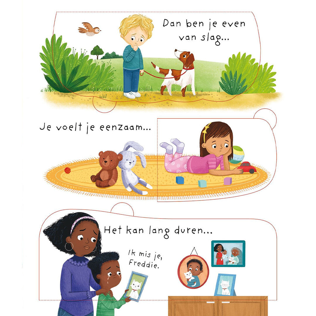 uitgeverij usborne flapjesboek waarom ben ik (soms) verdrietig? | 1701025 | 2