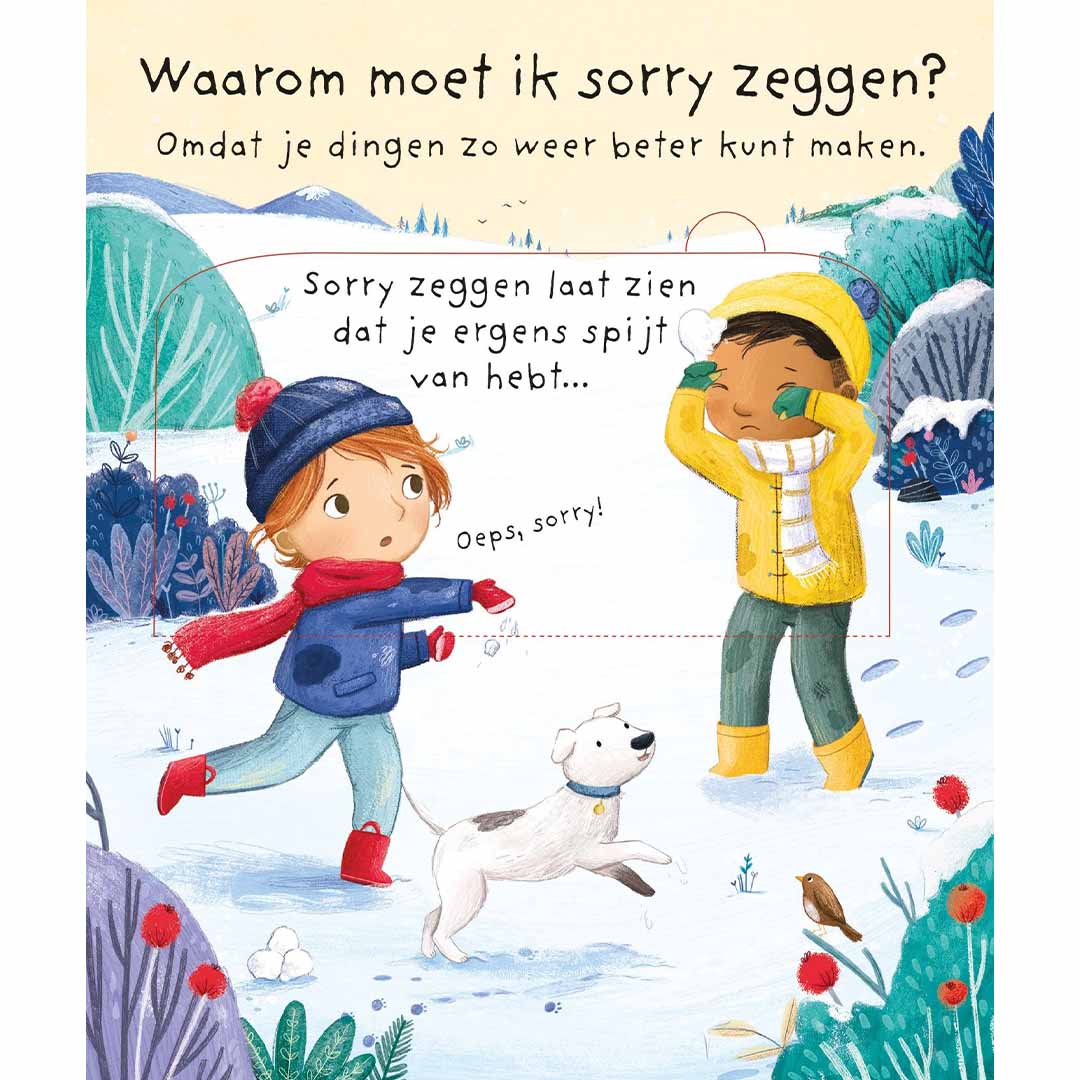 uitgeverij usborne flapjesboek waarom moet ik sorry zeggen? | 1700266 | 1