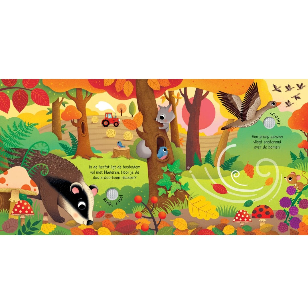 uitgeverij usborne geluidenboek geluiden van de seizoenen | 1707688 | 2