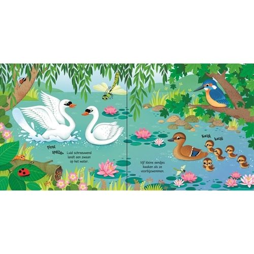 uitgeverij usborne geluidenboek vogels | 1707882 | 1