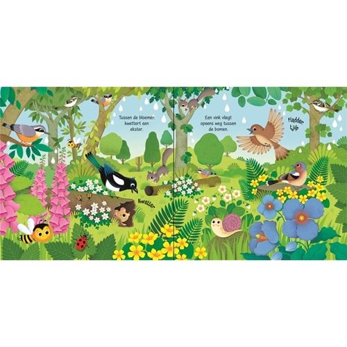 uitgeverij usborne geluidenboek vogels | 1707882 | 2