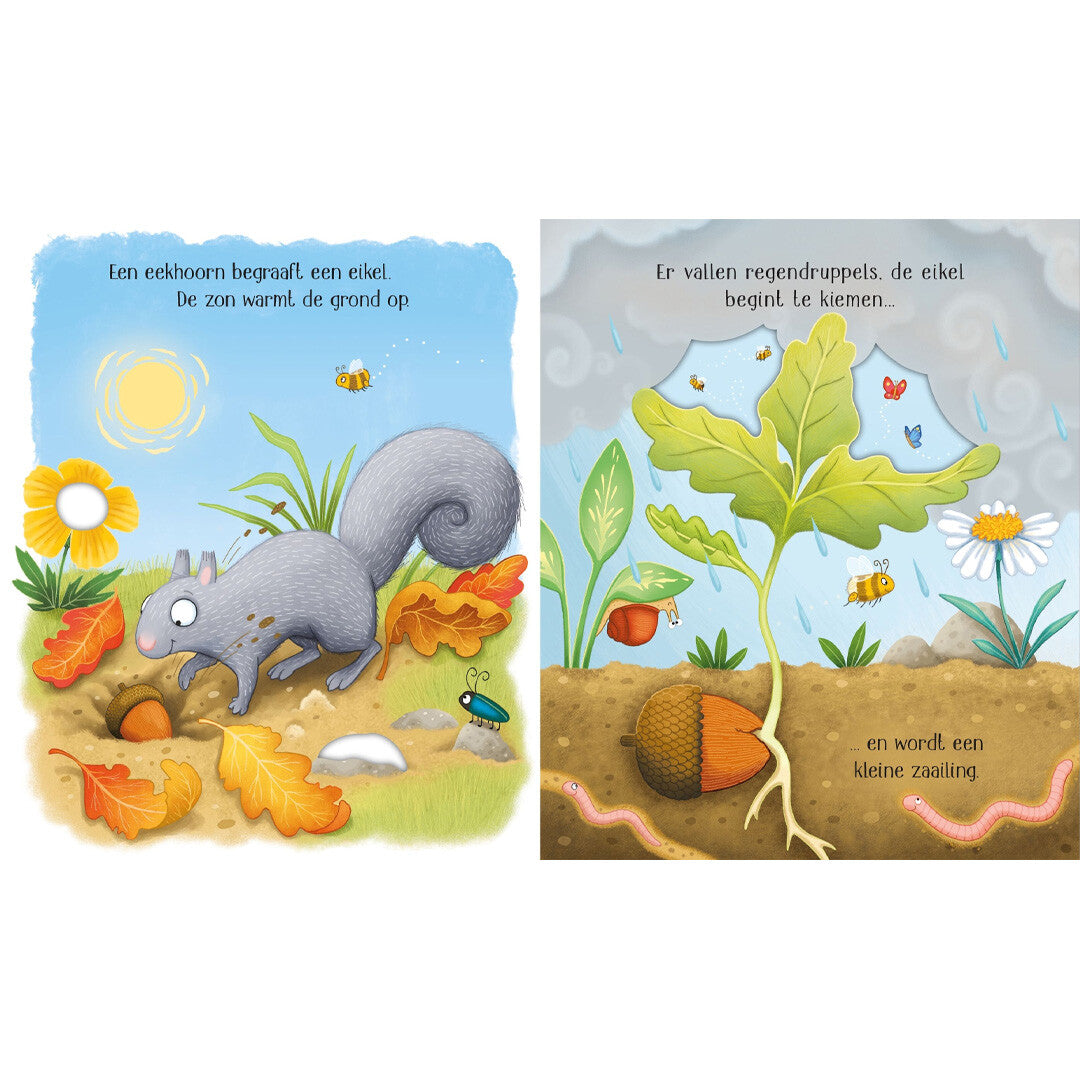 uitgeverij usborne het leven van een kleine boom | 1700221 | 1