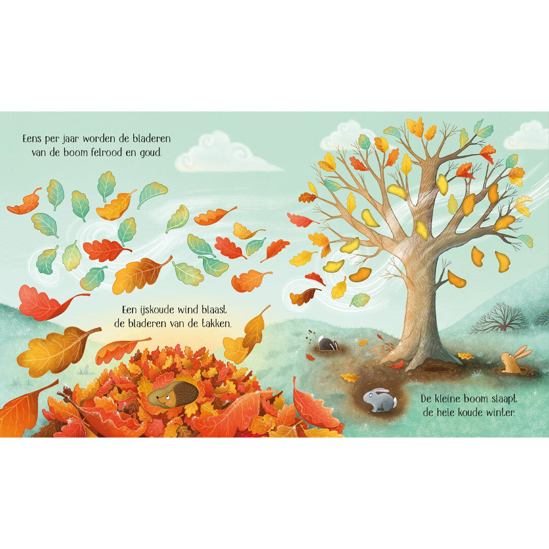 uitgeverij usborne het leven van een kleine boom | 1700221 | 2
