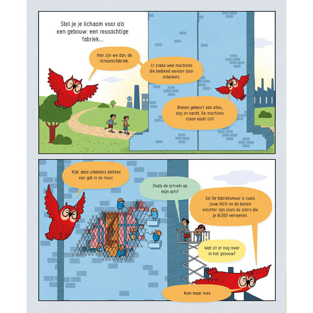 uitgeverij usborne je lichaam en hoe het werkt | 1701058 | 1