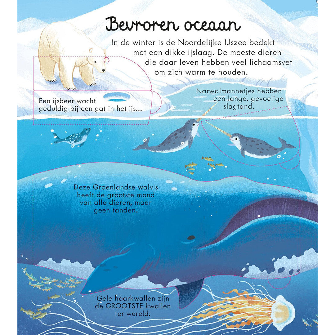 uitgeverij usborne kijk binnen - zeeën en oceanen | 1701023-1 | 3