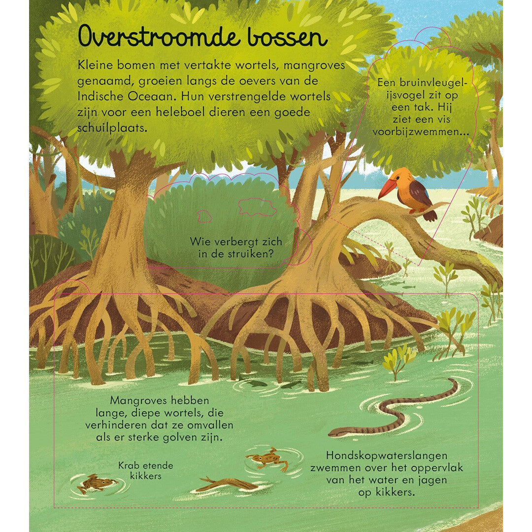uitgeverij usborne kijk binnen - zeeën en oceanen | 1701023-1 | 5