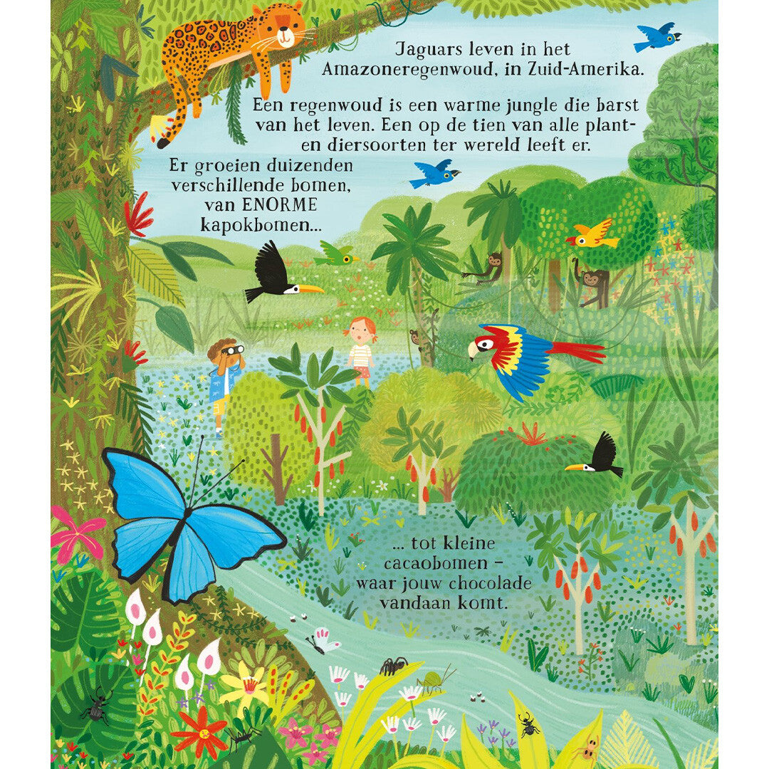 uitgeverij usborne kunnen we de bomen echt helpen? | 1701029 | 3