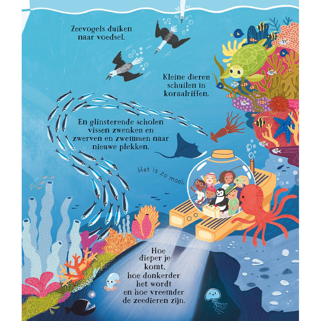 uitgeverij usborne kunnen we de dolfijnen echt helpen? | 1701056 | 4