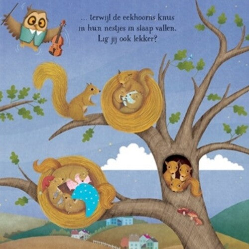 uitgeverij usborne muziekboek lekker slapen | 1709397 | 4