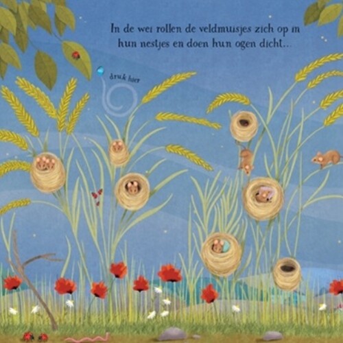 uitgeverij usborne muziekboek lekker slapen | 1709397 | 5