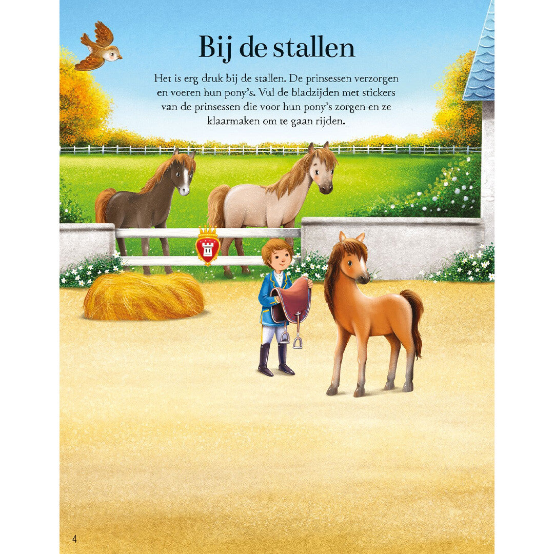 uitgeverij usborne prinsessen stickerboek | 1701024-usborne | 3